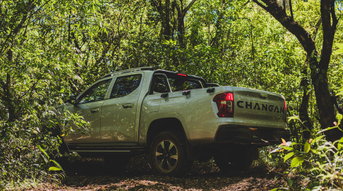Hunter Gallery 11 | Changan Caribbean