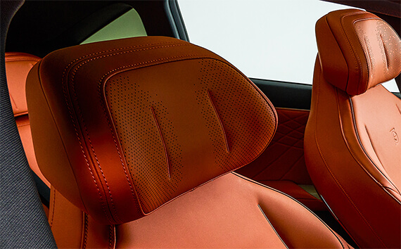 Headrest Audio System In The Driver's Seat | Changan Caribbean